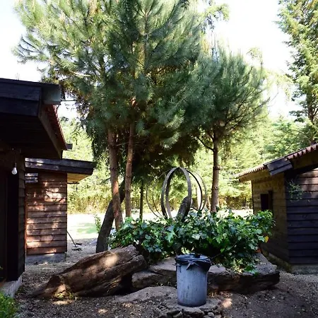 Quinta Sul America Моймента-да-Бейра