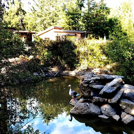 Quinta Sul America *