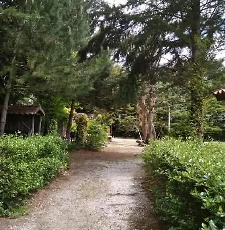 Quinta Sul America * Moimenta da Beira