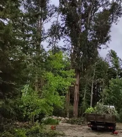 Quinta Sul America 乡村民宿