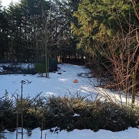 Quinta Sul America Kır Evi