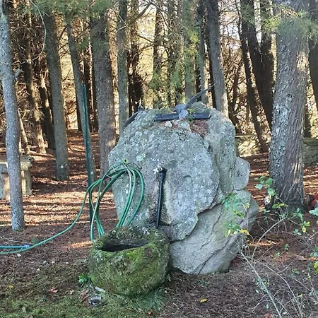 Quinta Sul America *