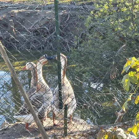 Летний дом Quinta Sul America