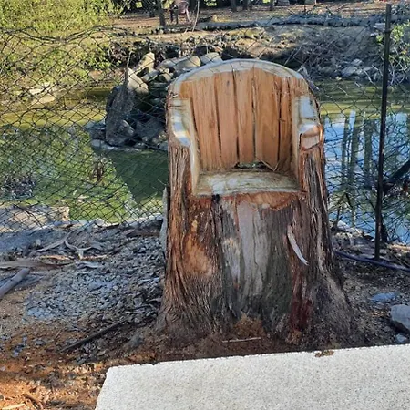 Летний дом Quinta Sul America Моймента-да-Бейра