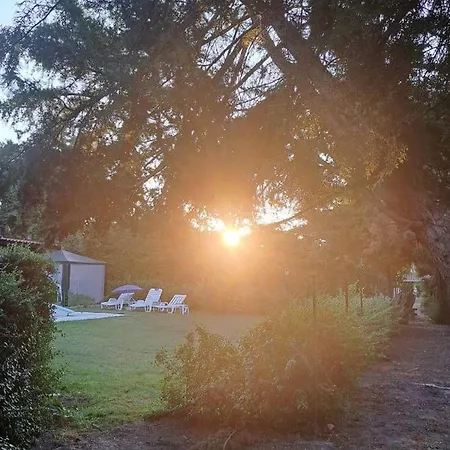 Quinta Sul America Landsted Moimenta da Beira
