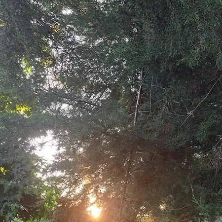 Quinta Sul America *