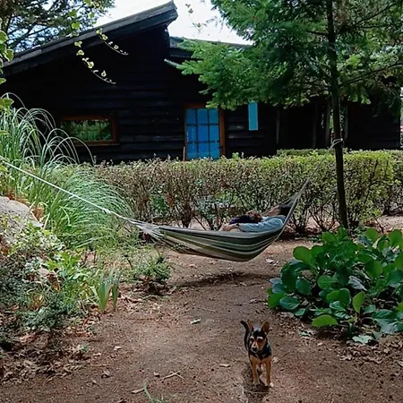 Hétvégi ház Quinta Sul America Moimenta da Beira