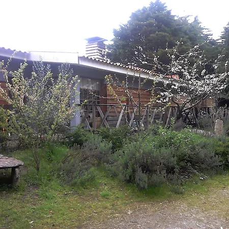 Quinta Sul America * Моймента-да-Бейра