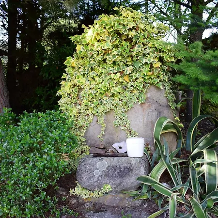 Quinta Sul America *