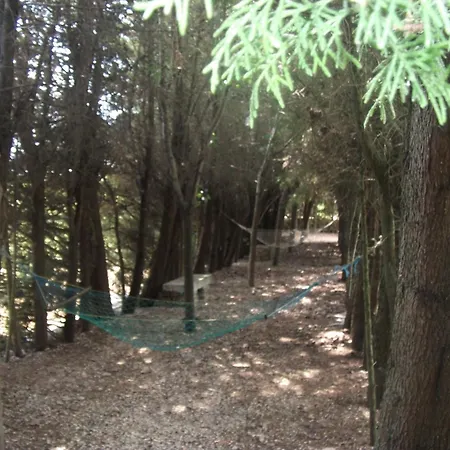 乡村民宿 Quinta Sul America 莫伊门塔达贝拉