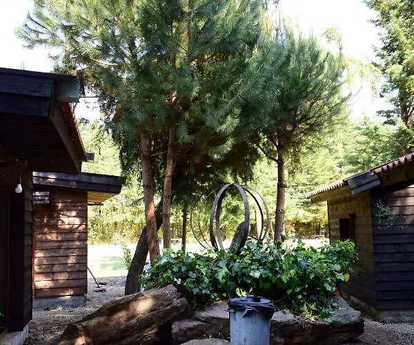 Quinta Sul America Moimenta da Beira