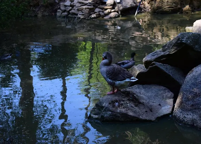 Quinta Sul America Séjour à la campagne *