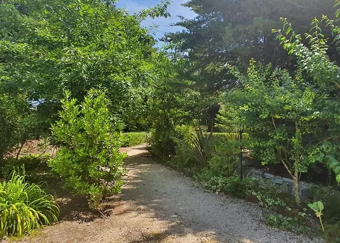 Quinta Sul America Séjour à la campagne Moimenta da Beira