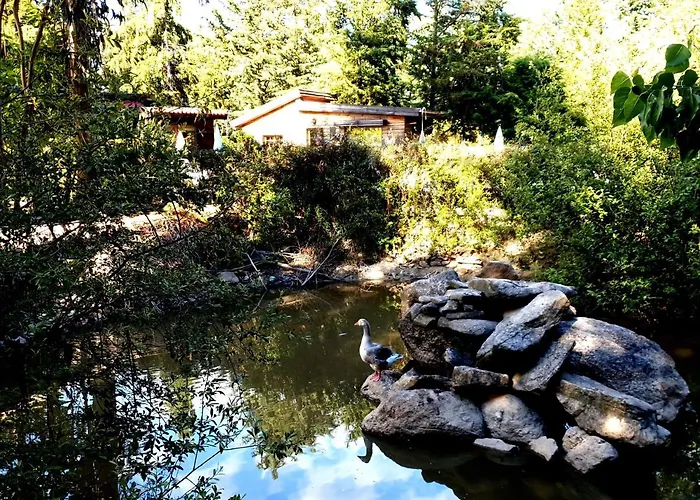 Quinta Sul America *