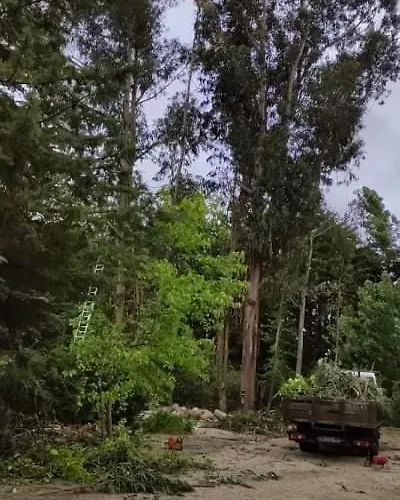 Quinta Sul America Lantställe