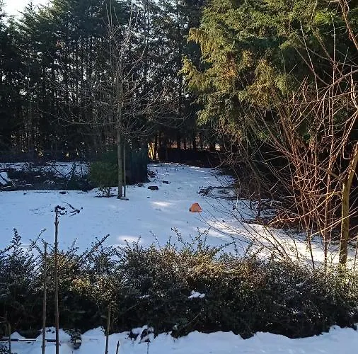 Quinta Sul America Lantställe