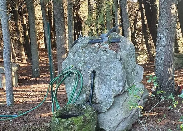 Quinta Sul America *