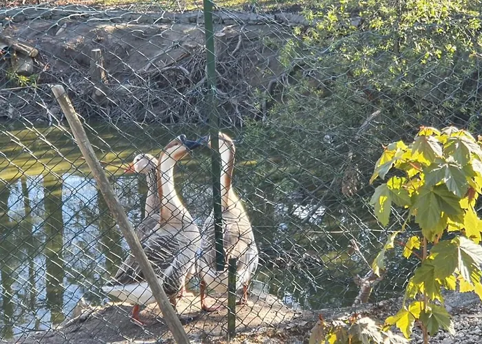 Séjour à la campagne Quinta Sul America