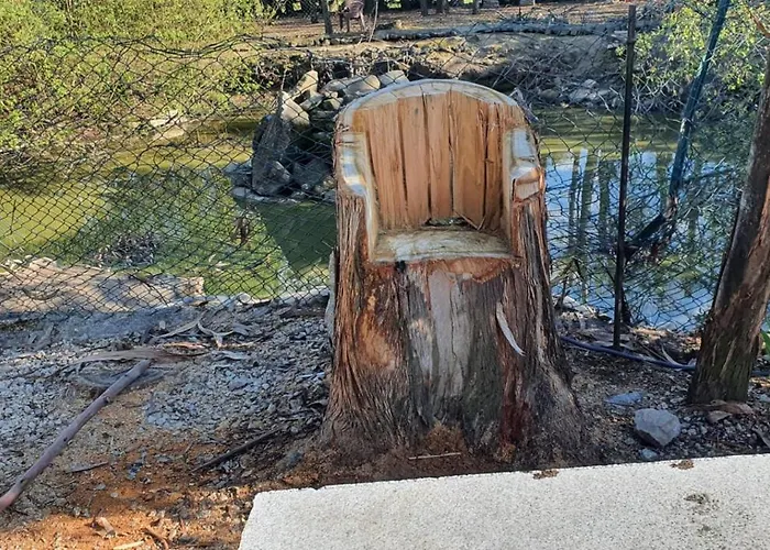 Lantställe Quinta Sul America Moimenta da Beira