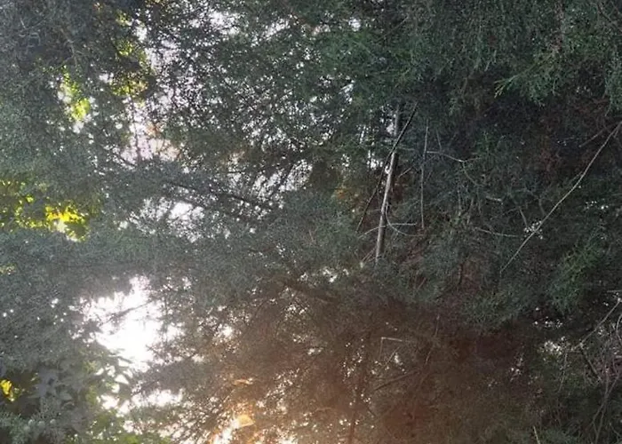 Quinta Sul America *