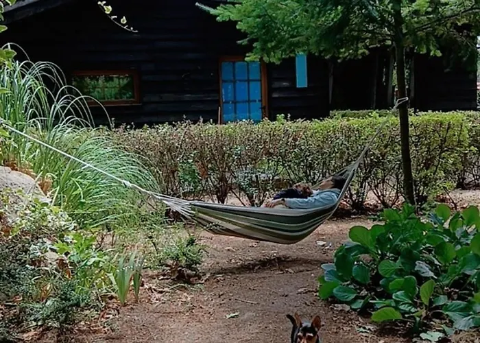 Séjour à la campagne Quinta Sul America Moimenta da Beira
