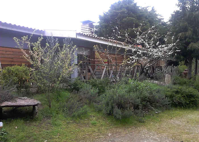 Quinta Sul America * Moimenta da Beira