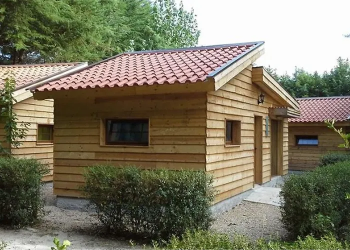 Séjour à la campagne Quinta Sul America Moimenta da Beira