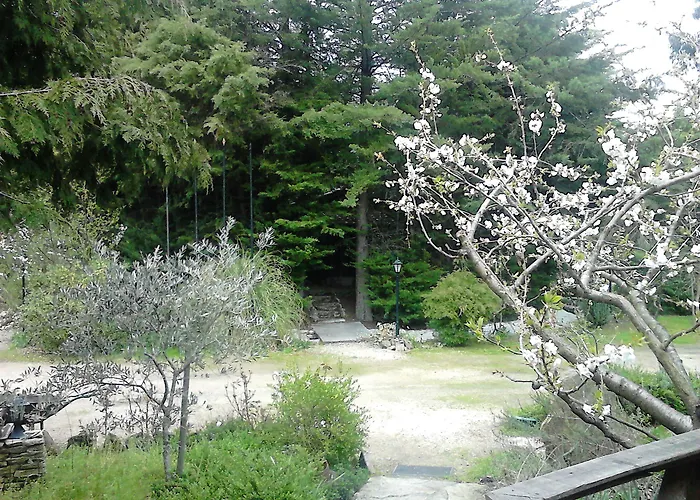 Quinta Sul America Lantställe