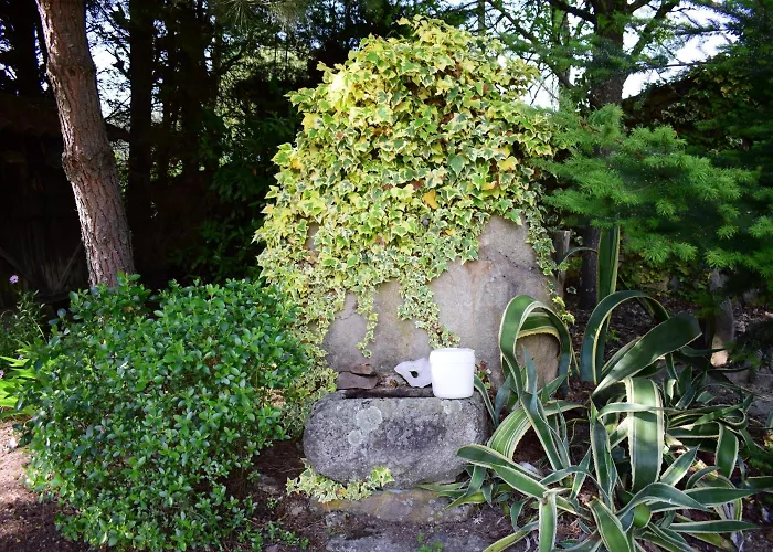 Quinta Sul America *