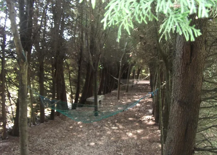 Lantställe Quinta Sul America Moimenta da Beira