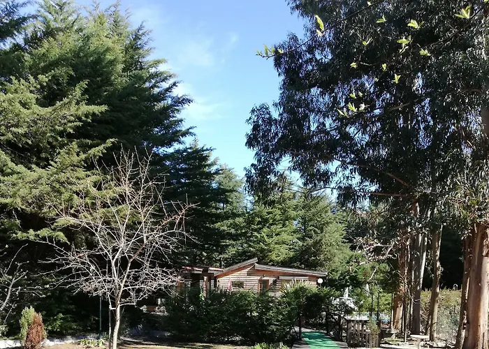 Lantställe Quinta Sul America