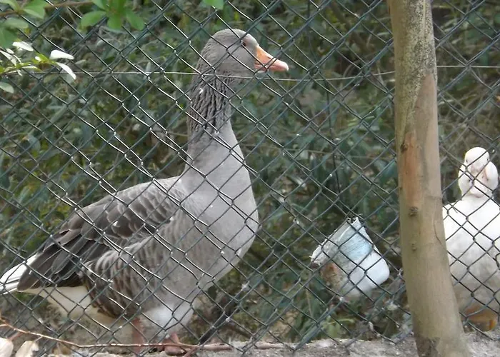 Quinta Sul America Séjour à la campagne Moimenta da Beira